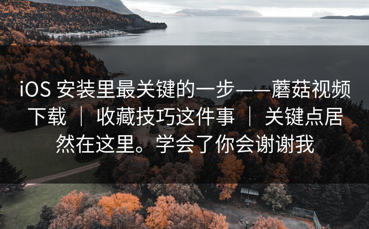 iOS 安装里最关键的一步——蘑菇视频下载 | 收藏技巧这件事 关键点居然在这里。学会了你会谢谢我 第1张 iOS 安装里最关键的一步——蘑菇视频下载 | 收藏技巧这件事 关键点居然在这里。学会了你会谢谢我 第1张